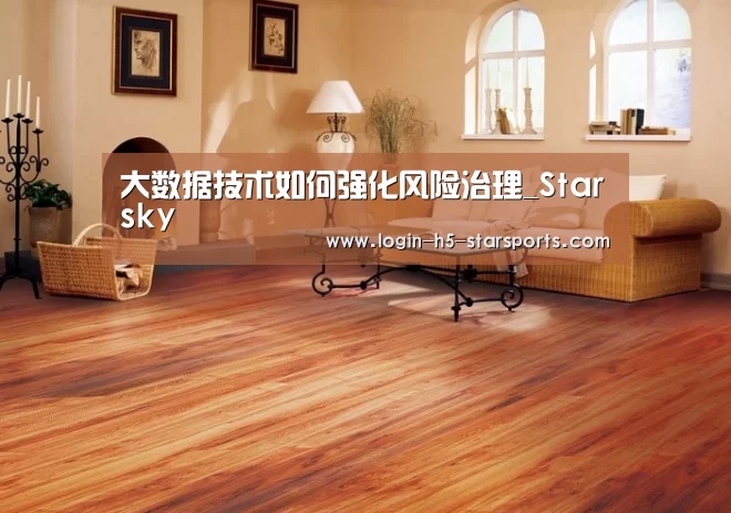 大数据技术如何强化风险治理_Starsk
